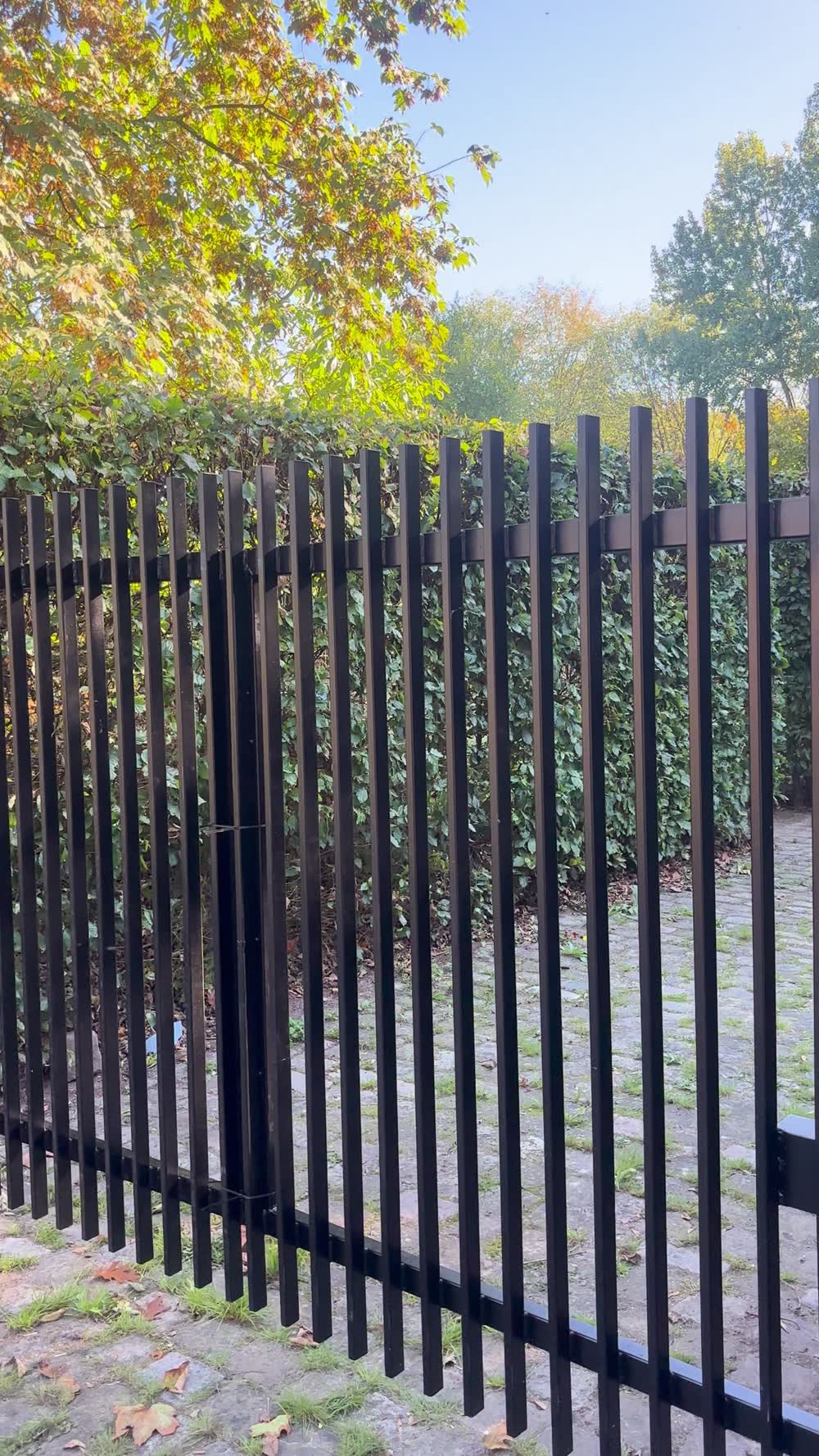 Schwarzer Stabzaun mit Tor vor einer Hecke im Herbstlicht